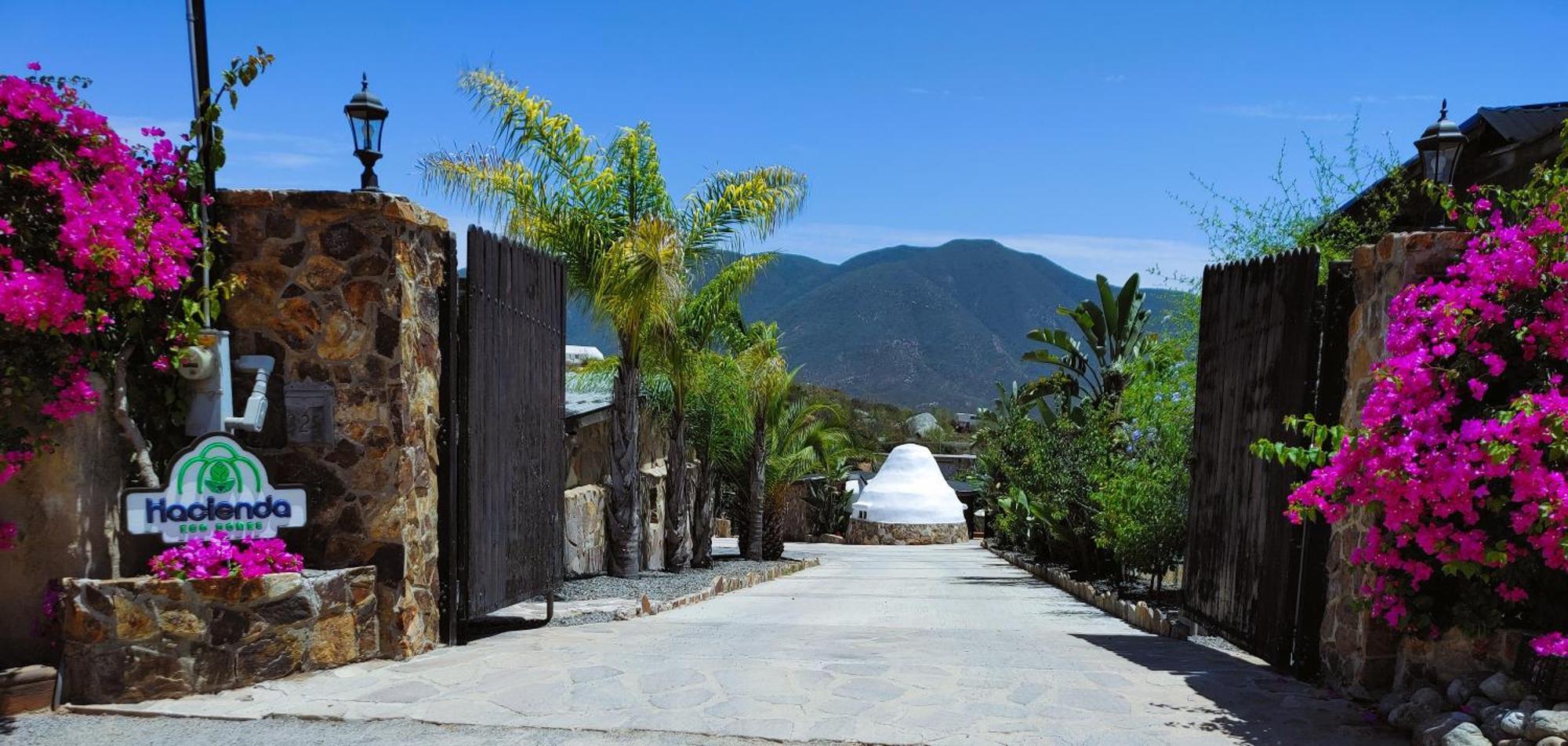 Willa Hacienda Eco-Domes Valle de Guadalupe Zewnętrze zdjęcie